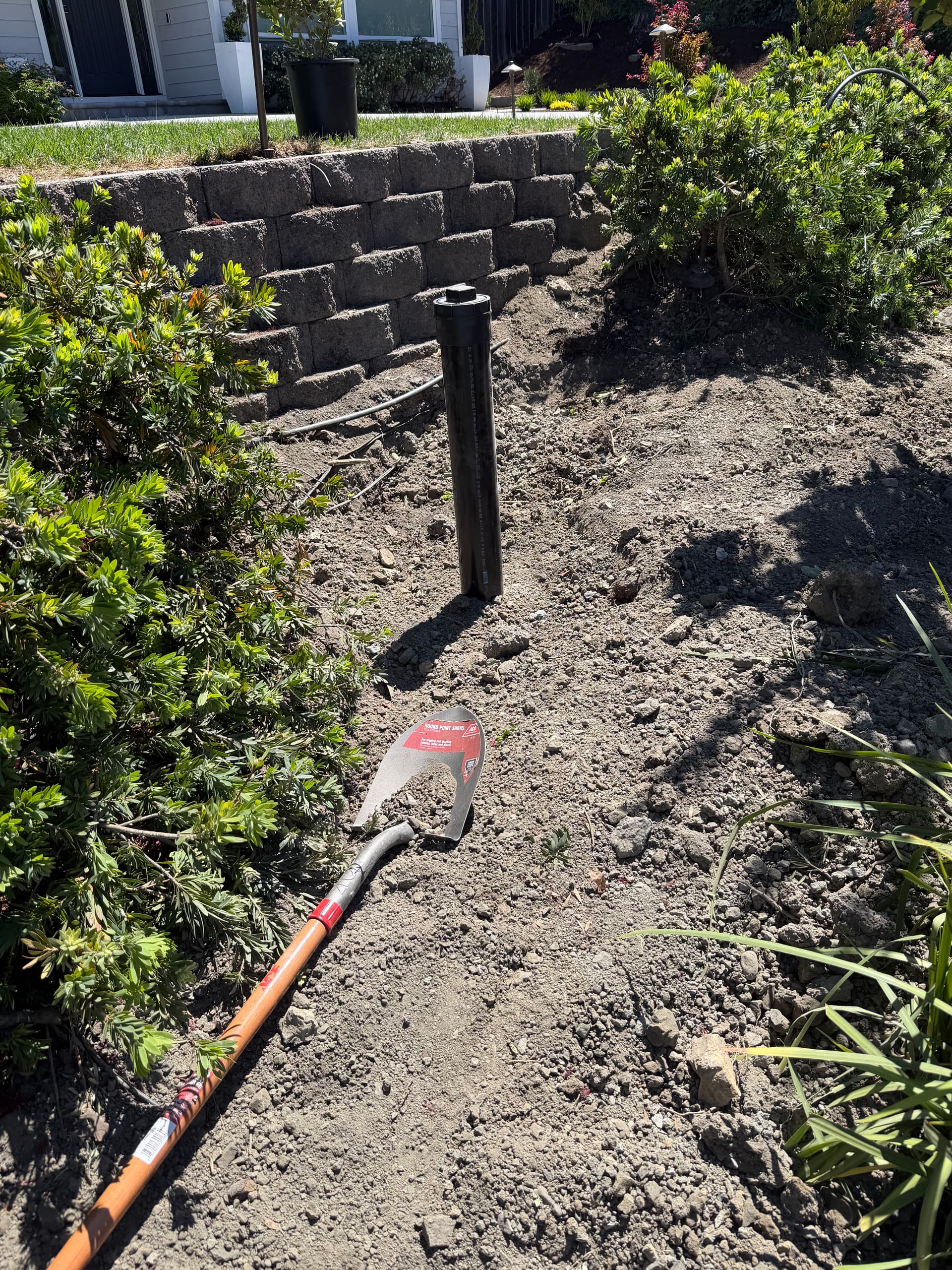 Gallery photos for Sewer Lateral Replacement Done Right and Ready for Inspection: Image #7